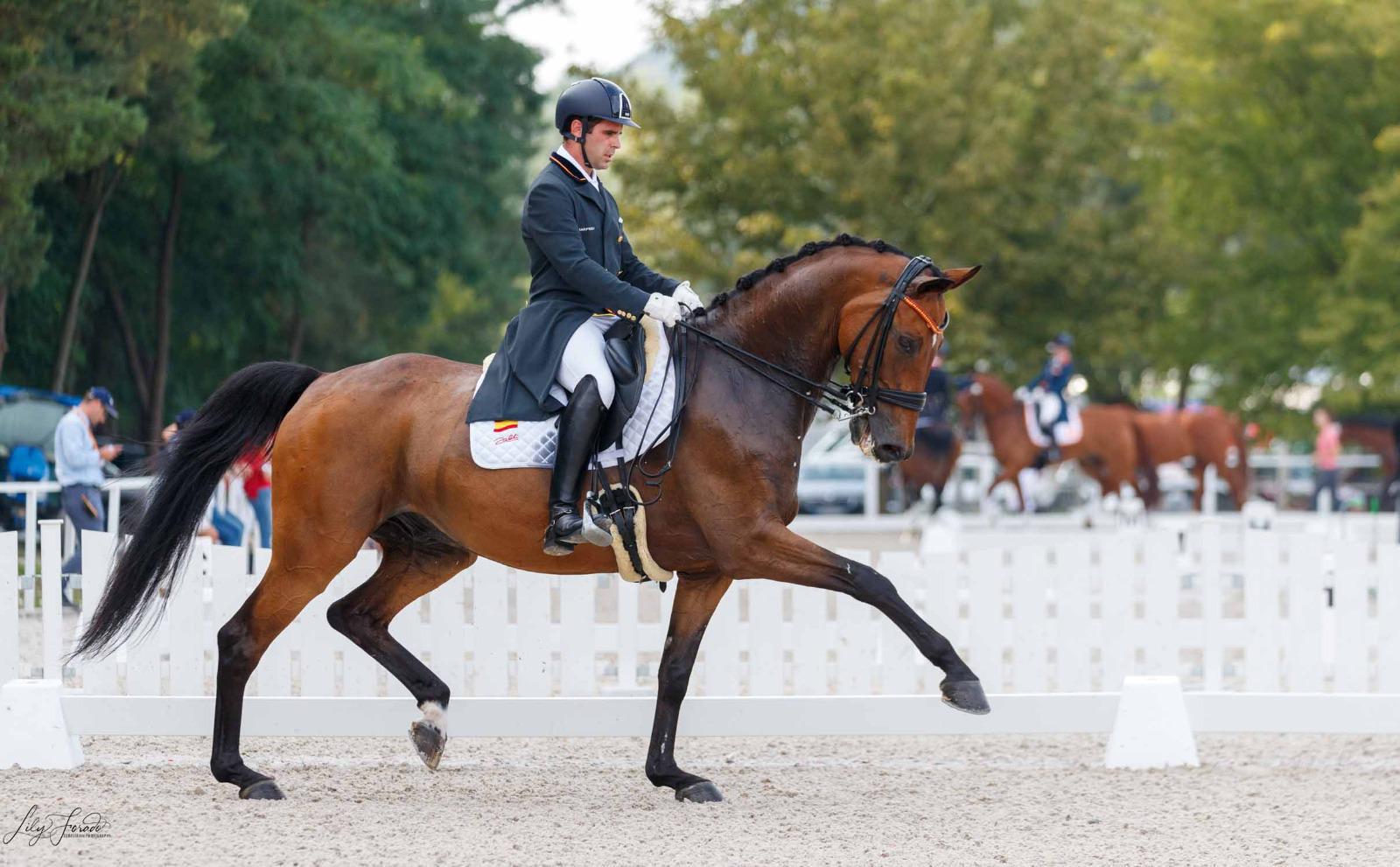 Natalia Quintana Plagaro Campeona de España de Doma Adaptada 2021